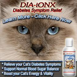 Dia-IonX Diabetes Treatment for Pets