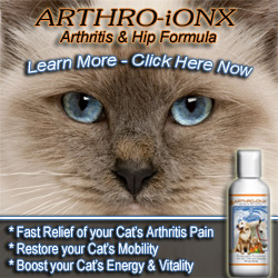 Arthro-IonX Arthritis Treatment for Pets