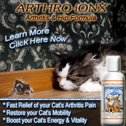 Arthro-IonX Pet Arthritis Treatment