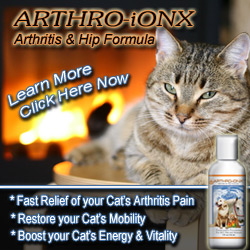 Dia-IonX Diabetes Treatment for Pets